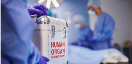 "Surgeon Surgeon holding a case containing a human organ for transplantation.